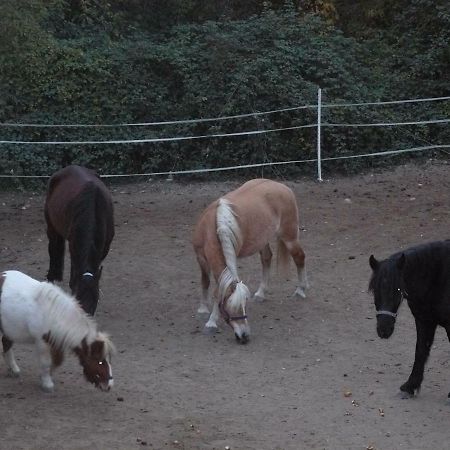 La Ferme Des Cailletiers Chez Marco Villa Luceram ภายนอก รูปภาพ
